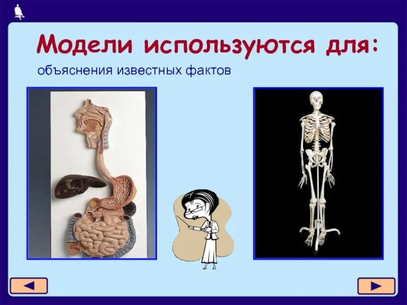 Использую эту модель для. Модели используются для. для чего используются модели. модель для объяснения известных фактов. для чего используют модели презентация.