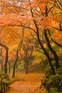 Fall day