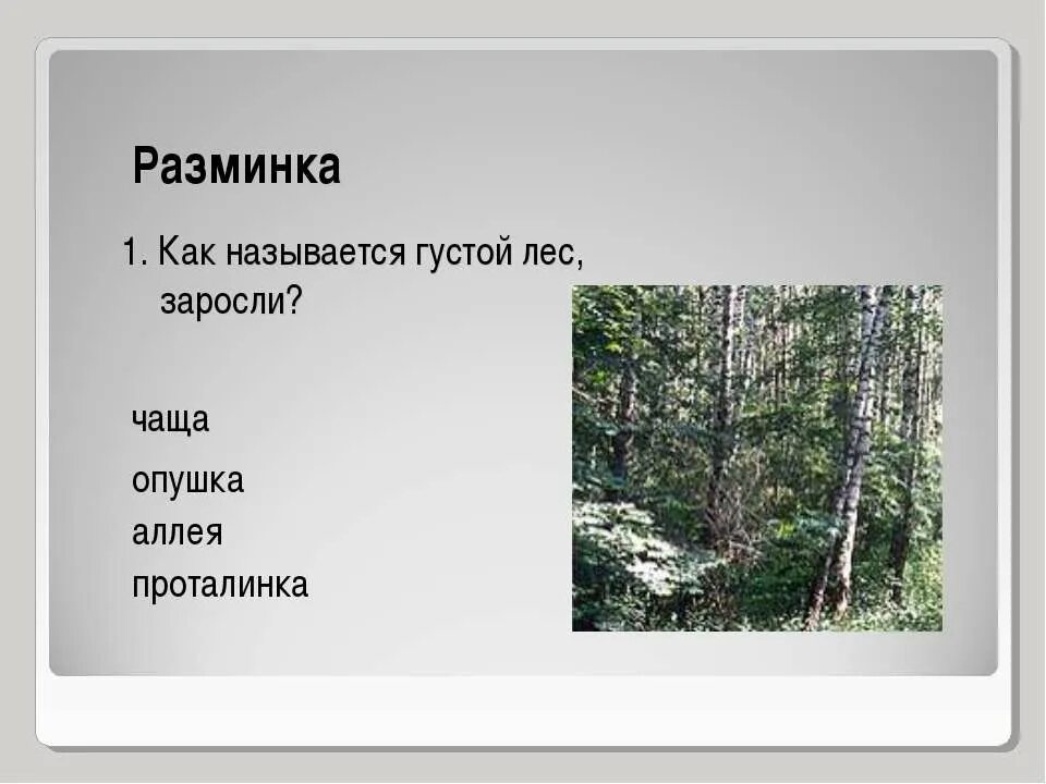 Густой густой лес как называется. Названия леса и зарослей. Густой лес текст. Название дремучих лесов. В лесной гуще текст