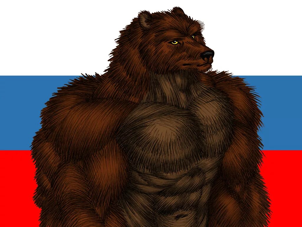 Фурри медведь. Антропоморфный медведь. Русский медведь. Фурри русский медведь.