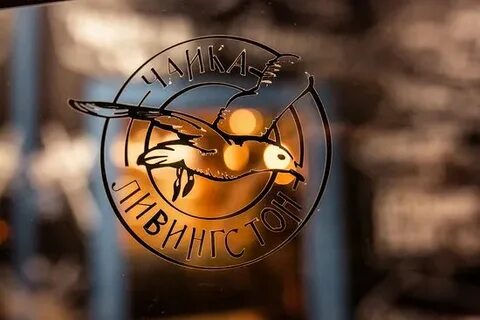 Чайка ливингстон краснодар