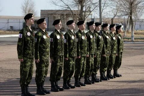 Зарница строевая