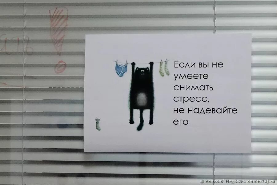 ты снимала мой стресс напрягая свой. ты снимала мой стресс напрягая свой. ты снимала мой стресс напрягая свой. влияние стресса на организм. цитаты про стресс смешные.