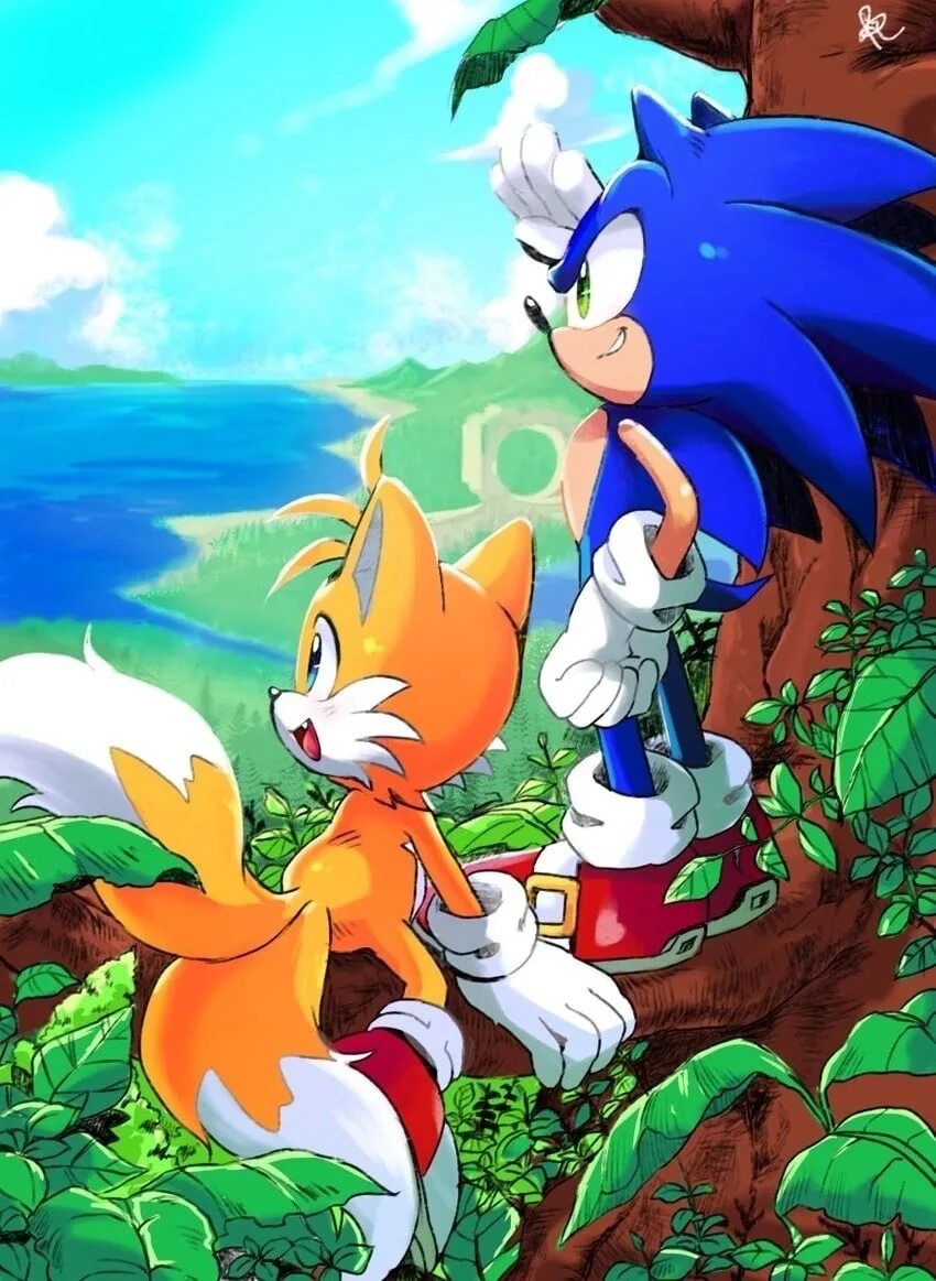 Соник и Тейлз. Sonic and Tails. Sonic 2020 Tails. Sonic and Tails Art.