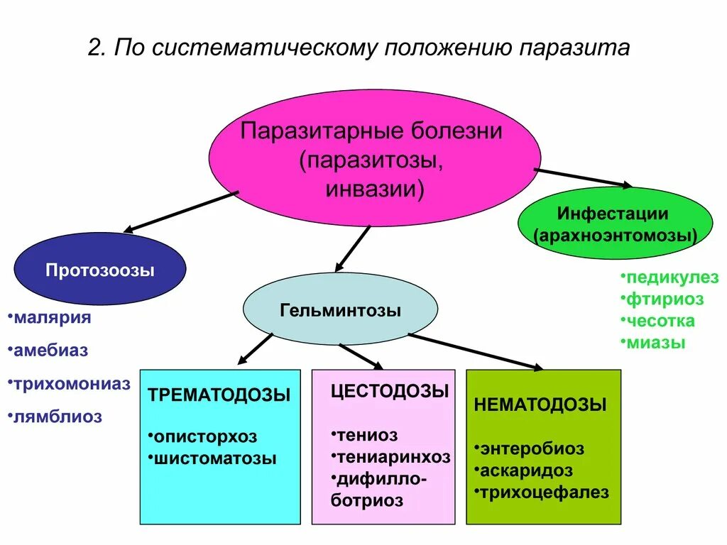 Основные паразитарные заболевания. Болезни вызываемые паразитами и классификация. Классификация паразитарных болезней. Эпидемиология паразитарных болезней. Классификация паразитических болезней.