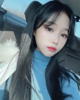 트위터걸레