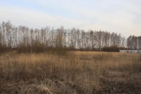 Погода в мещерском чеховского