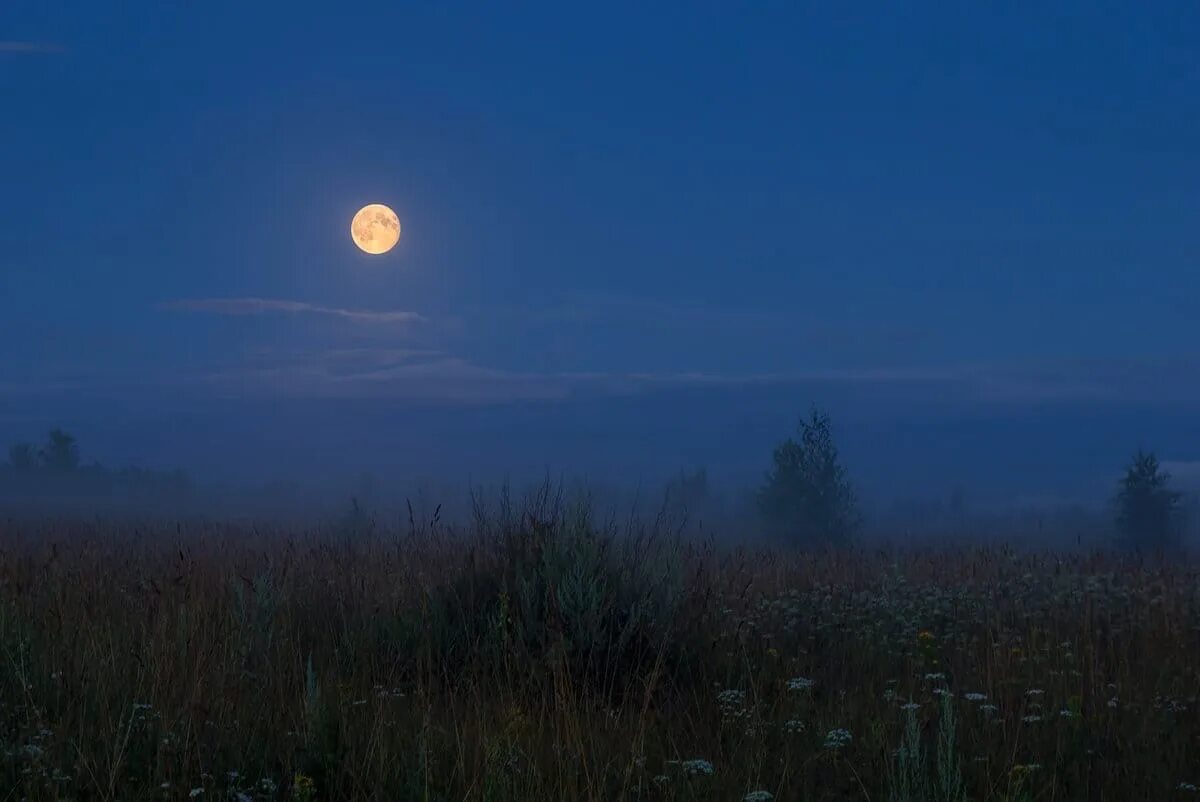 Вдали светит луна. Поле ночью. Летняя ночь. Луна над лугом. Вечернее небо с луной.