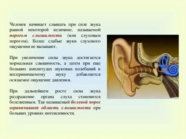 Почему я громко слышу. Порог слуха человека. Порог слухового ощущения это. Слуховая чувствительность человека. Пороги чувствительности слуха.
