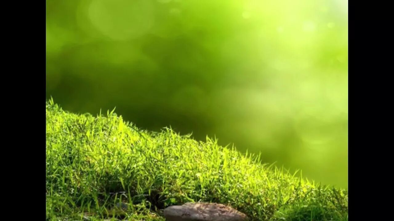 Background image Green. Фон градиент земля вода трава. Пьедестал в траве тенмый. Green Glow background. Grass chrome
