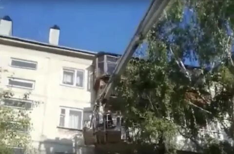 Оставила ребенка назло родственникам