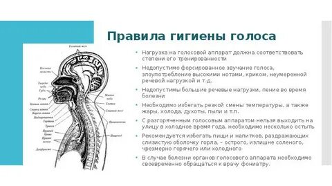 Режим голоса