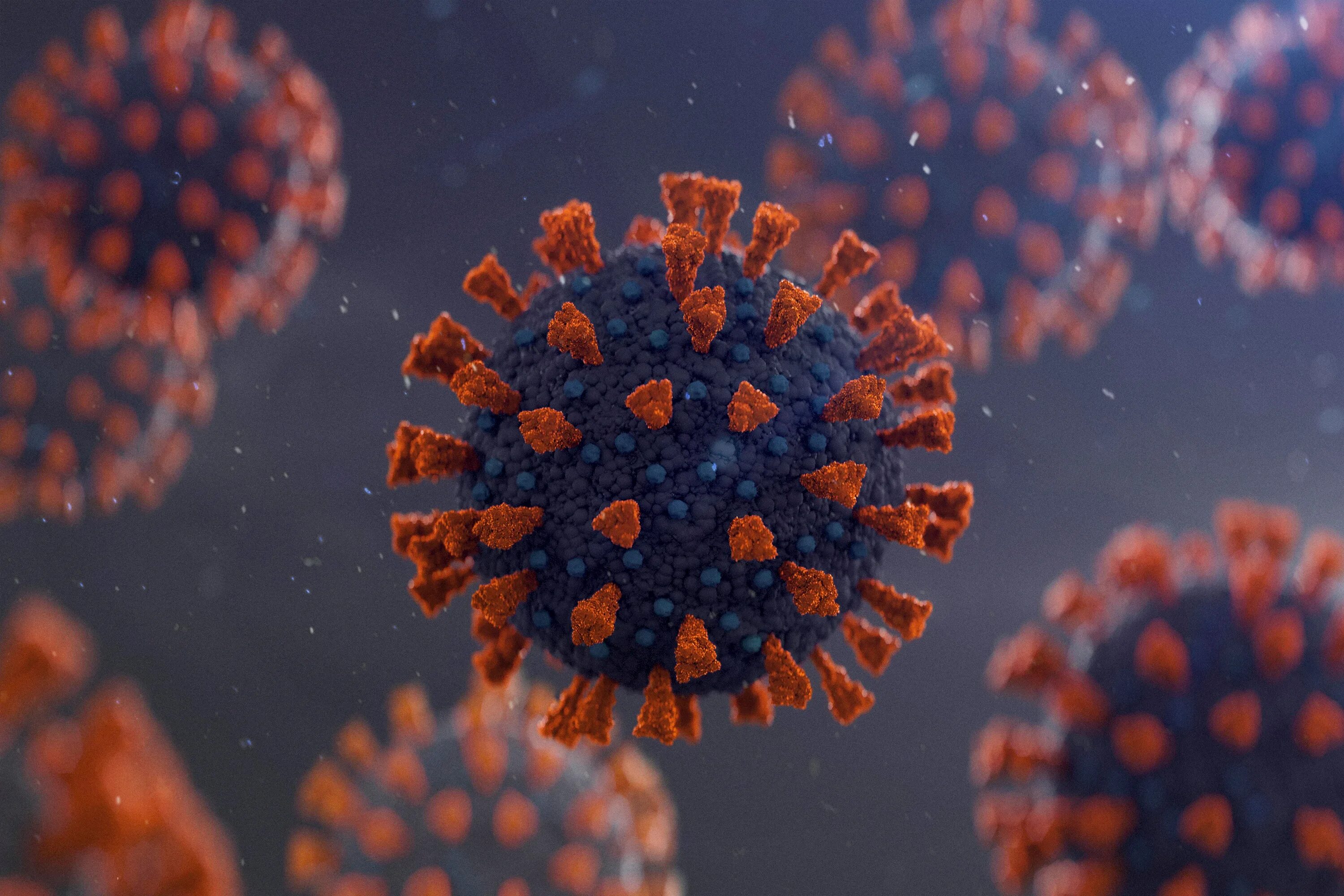 История коронавируса. Омикрон коронавирус. Коронавирус новый штамм Омикрон. Вирус SARS-cov-2 под микроскопом. Вирус Covid 19 под микроскопом.