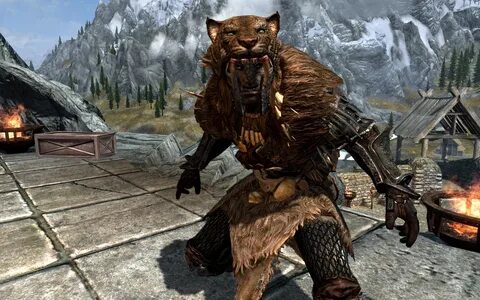 Skyrim skin