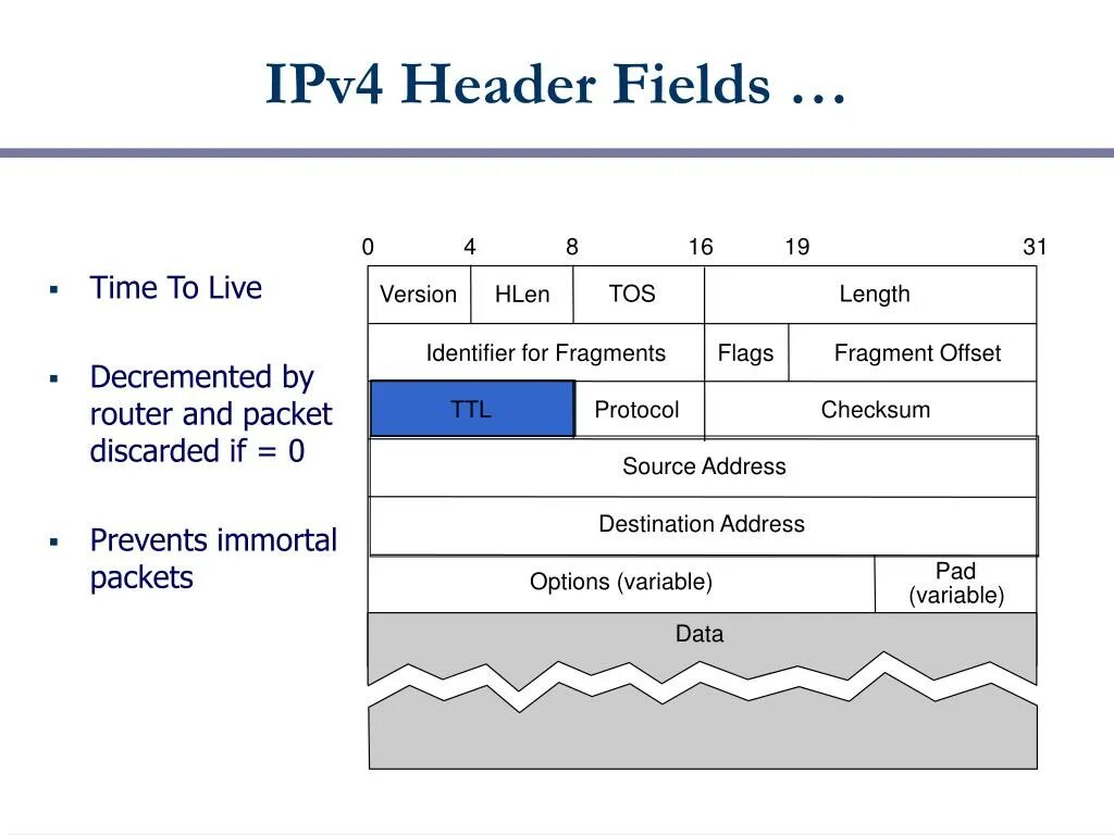 50 ipv4. Структура пакета ipv4. формат заголовка ipv4. поля заголовка ipv4. размер пакета ipv4.
