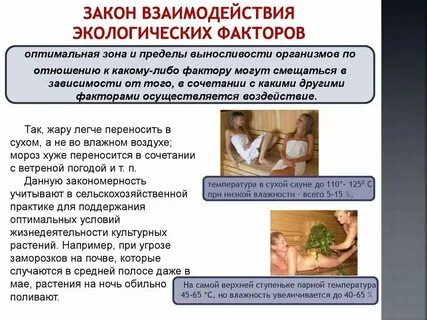 Человек и закон взаимосвязь