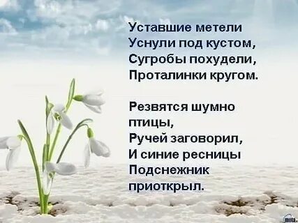 Отчет о проведении дня подснежника