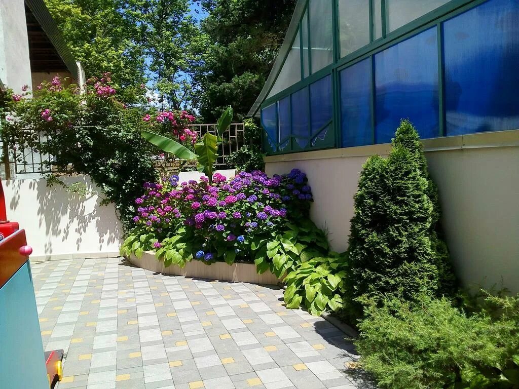 Снять жилье в ольгинке. Туапсе ольгинка частный сектор. Ольгинка набережная 2023. Снять жилье в ольгинке. Гостевой дом горизонт ольгинка.