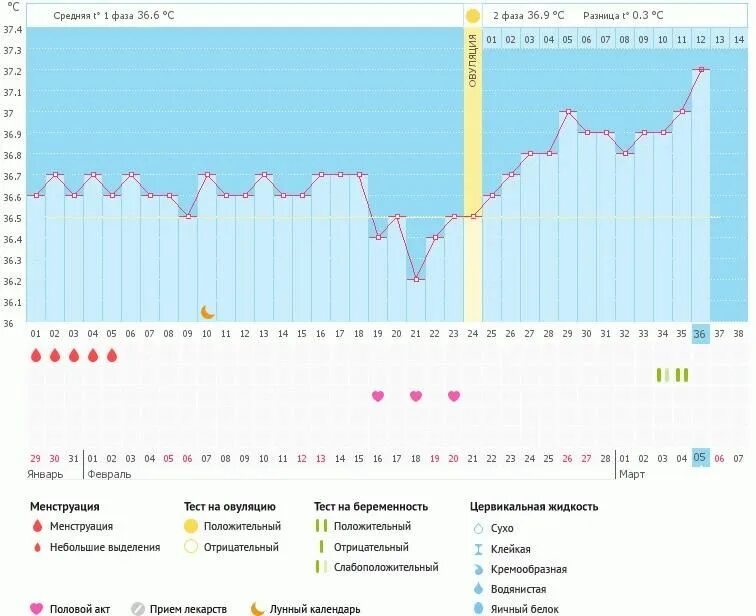Беременность без овуляции. График. Цикл без овуляции. Быть в нормальном цикле без овуляции. Индекс без цикла.