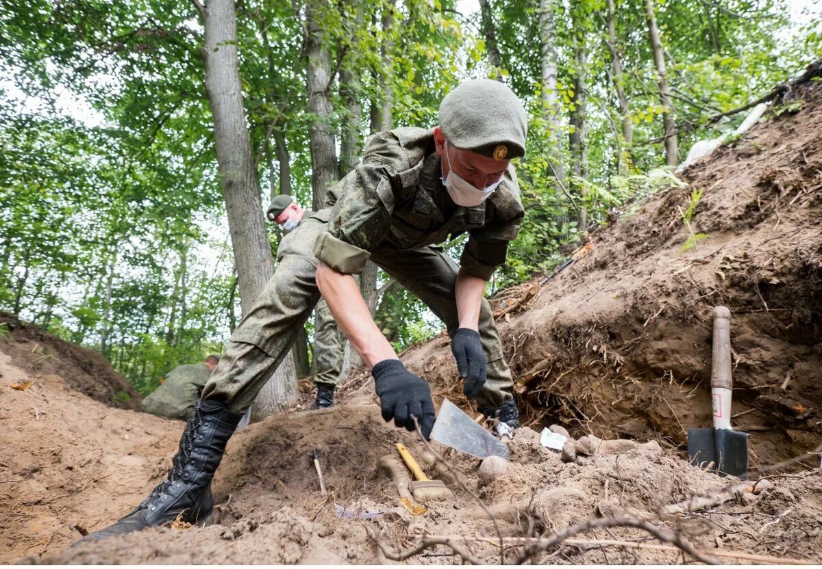 Сайт военный поиск