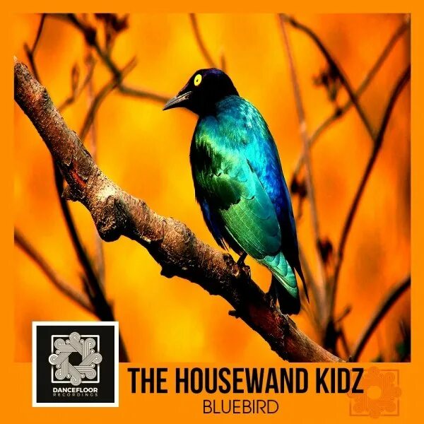 Maurice maeterlinck the blue bird. Bluebird of happiness game. Дед с птицей. Как выглядит птица пичужка. Bluebird слушать.