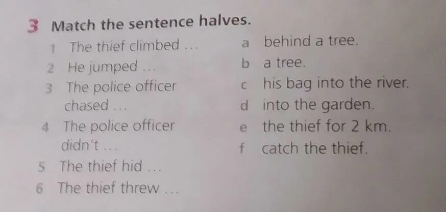 Match two halves of the sentences. Match the sentence halves i usually buy a. Match the sentence halves you can. Match the sentence halves she is interested. Match the sentence halves i enjoy reading.