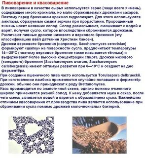 Из чего сделаны дрожжи