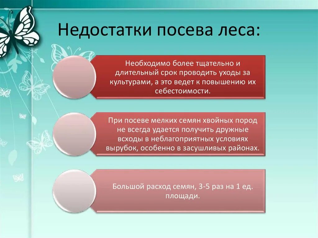 Методы и способы лесовосстановления. Методы лесовосстановления. Посев леса преимущества и недостатки. Посев хвойных пород необходимо проводить