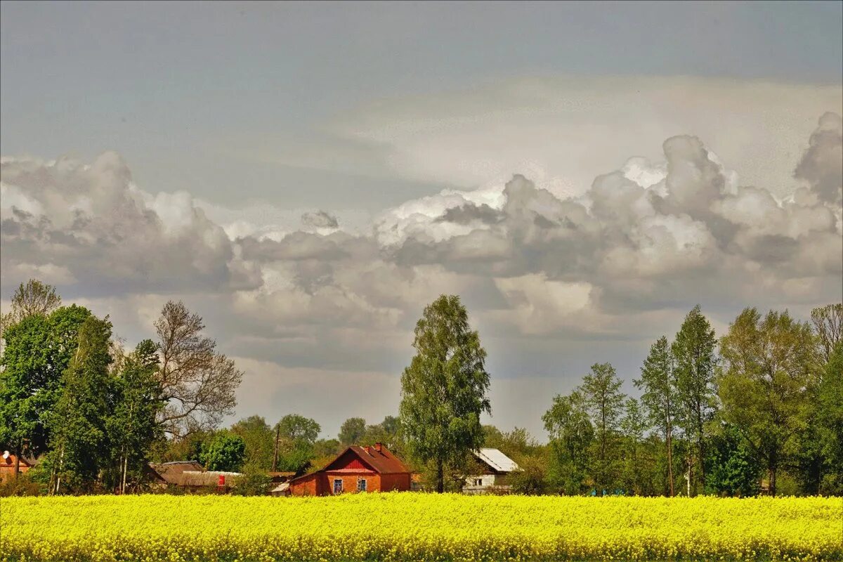 Родина картинки. Красота малой Родины. Природа малой Родины. Деревенская пастораль. Малая Родина Беларусь.