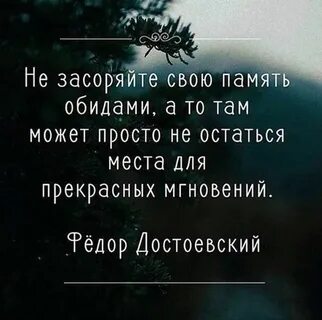 Память человека любовь