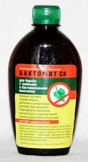Бактерицид