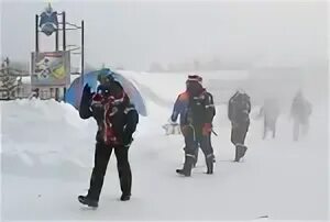 Погода в тосно по часам. Погода в Тосно. Погода в Тосно сегодня. Погода витосно. Погода в Тосно на 10.