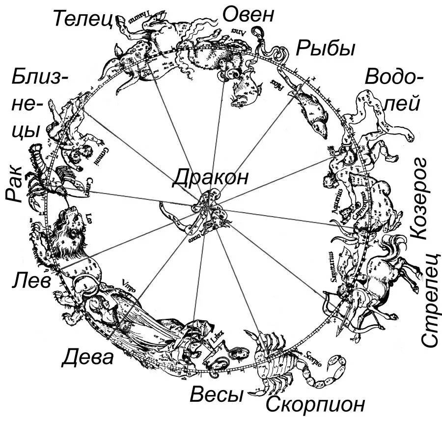 12 февраля знак гороскопа. Зодиакальные созвездия астрономия. Карта зодиакальных созвездий. Зодиакальные созвездия символы. Зодикальные Созвездие.