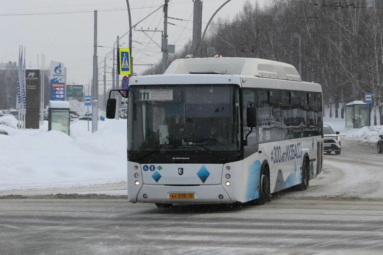 Автобусы кемерово 2023. Нефаз 5299-10-17 кемерово. Лиаз-5256. Белый автобус. Маршрутки кемерово.