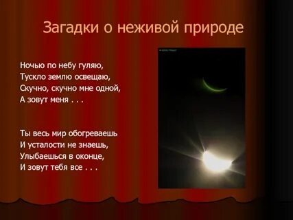 Загадка об объекте живой природы