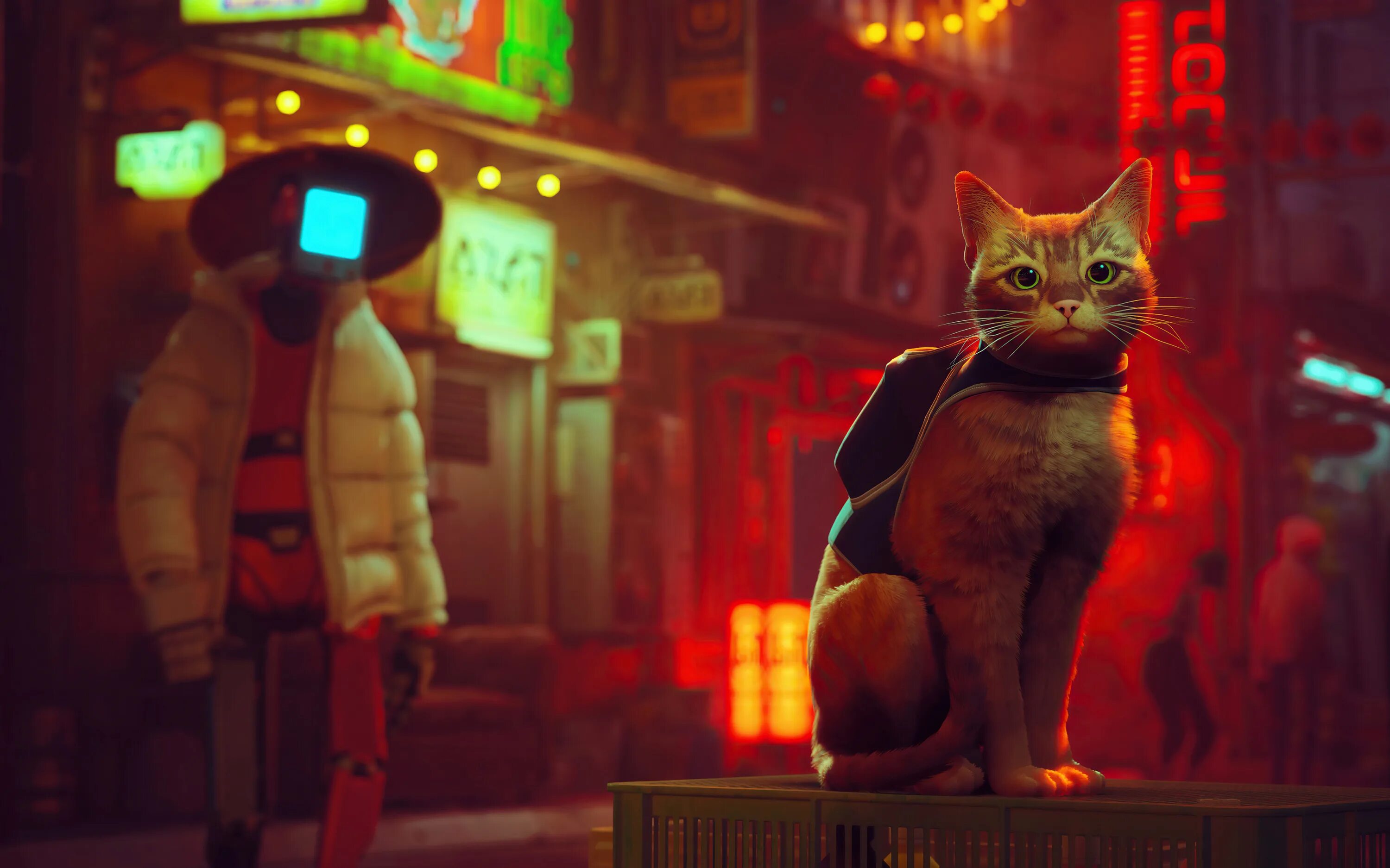 Stray Матроскин. Stray Cat игра. Stray 2022. Симулятор кота Stray.