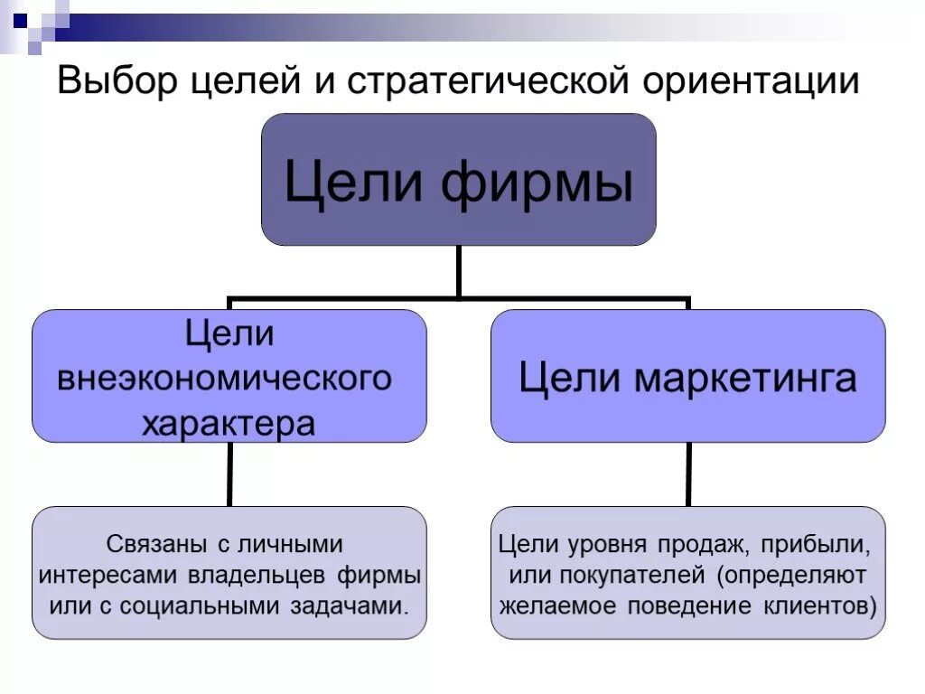 Выбор экономической цели фирмы. Выбор цели. выбор целей и стратегической ориентации. выберите главную цель фирмы:. цели фирмы связаны с.