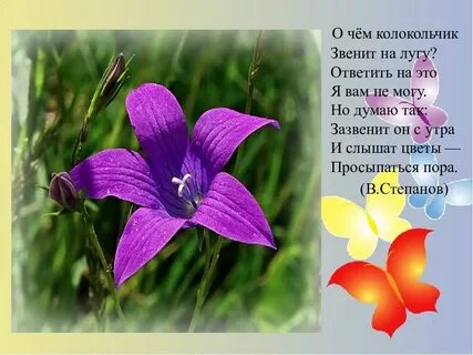 Какой колокольчик не звенит