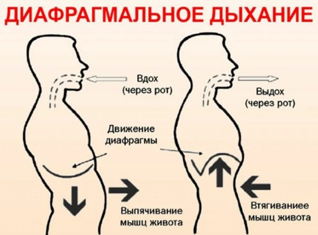 Дыхание движение. Дыхательная гимнастика диафрагмальное дыхание. Дыхание животом диафрагмальное дыхание. Правильное диафрагмальное дыхание. Дыхательная техника «брюшное дыхание».