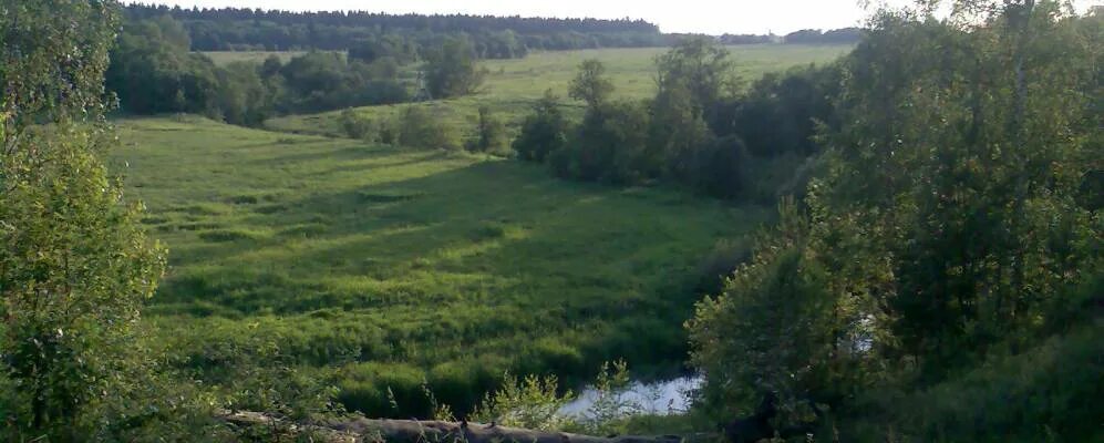 Погода в курганихе. Погода в курганихе. Погода на месяц. Погода в ялте на неделю. Курганиха.