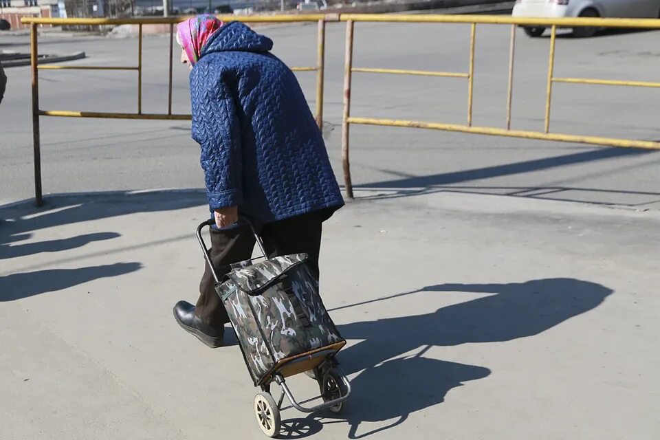 Мальчик после бабушки. Бабушка с сумкой тележкой. Бабушка с сумкой на колесиках. Тележка для пенсионеров. Бабка с тележкой.