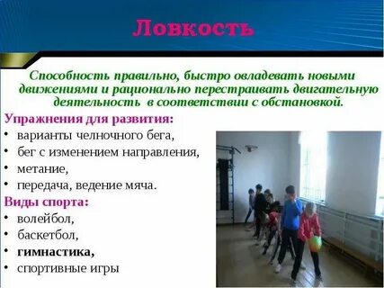 Способность быстро обучаться