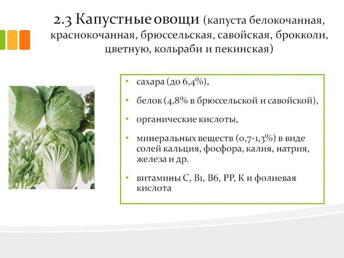 Капустные овощи состав требования к качеству упаковка хранение. Пищевая ценность капусты белокочанной. Кольраби капуста пищевая ценность. Пищевая ценность капустных овощей.