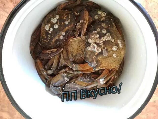 Как приготовить крабов замороженных вареных