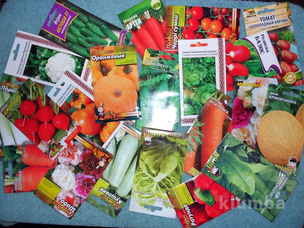 Овощи и фрукты с огорода. Семена овощей. Овощные семена. Декор овощного магазина. Выкладка овощей.