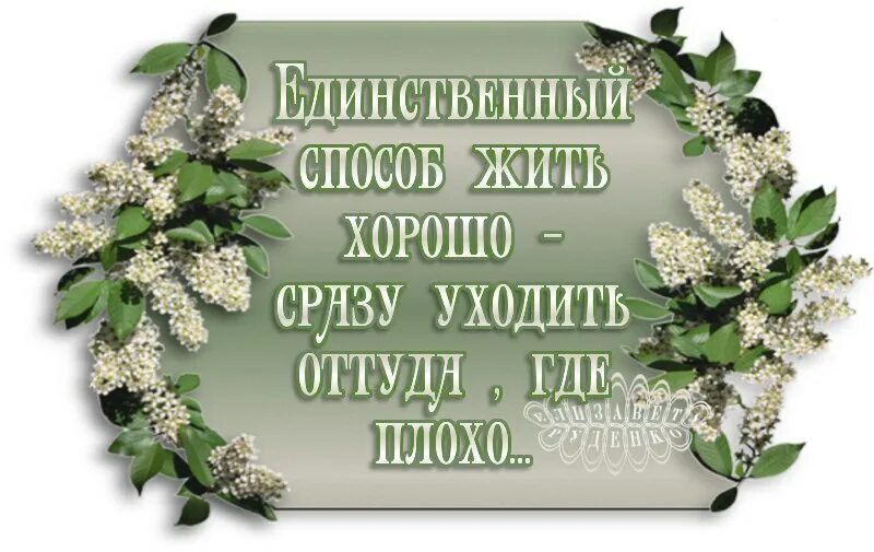 Единственный способ жить хорошо сразу уходить оттуда где плохо. Уходить оттуда где плохо. Единственный способ жить хорошо. Нужно уходить оттуда где.