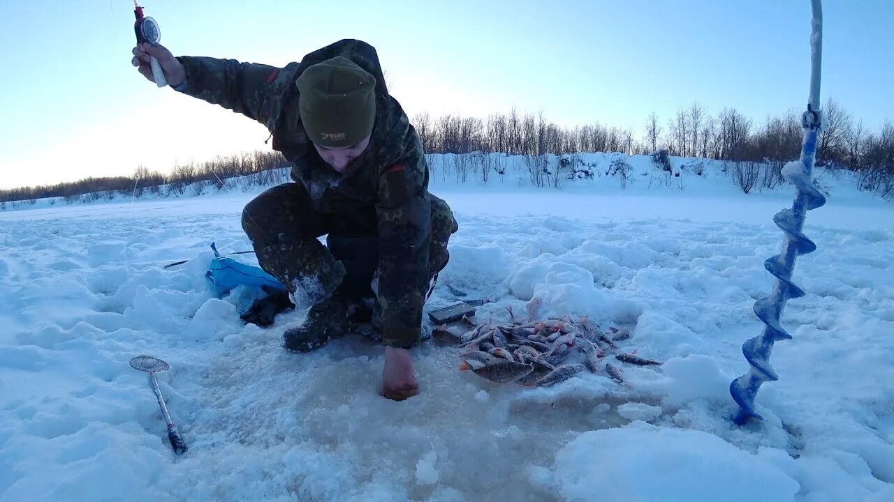 Форум рыбаков на севере. Зимняя рыбалка в тайге. Зимняя рыбалка в Коми. Лунка рыбалка. Рыбалка в Коми зимой.