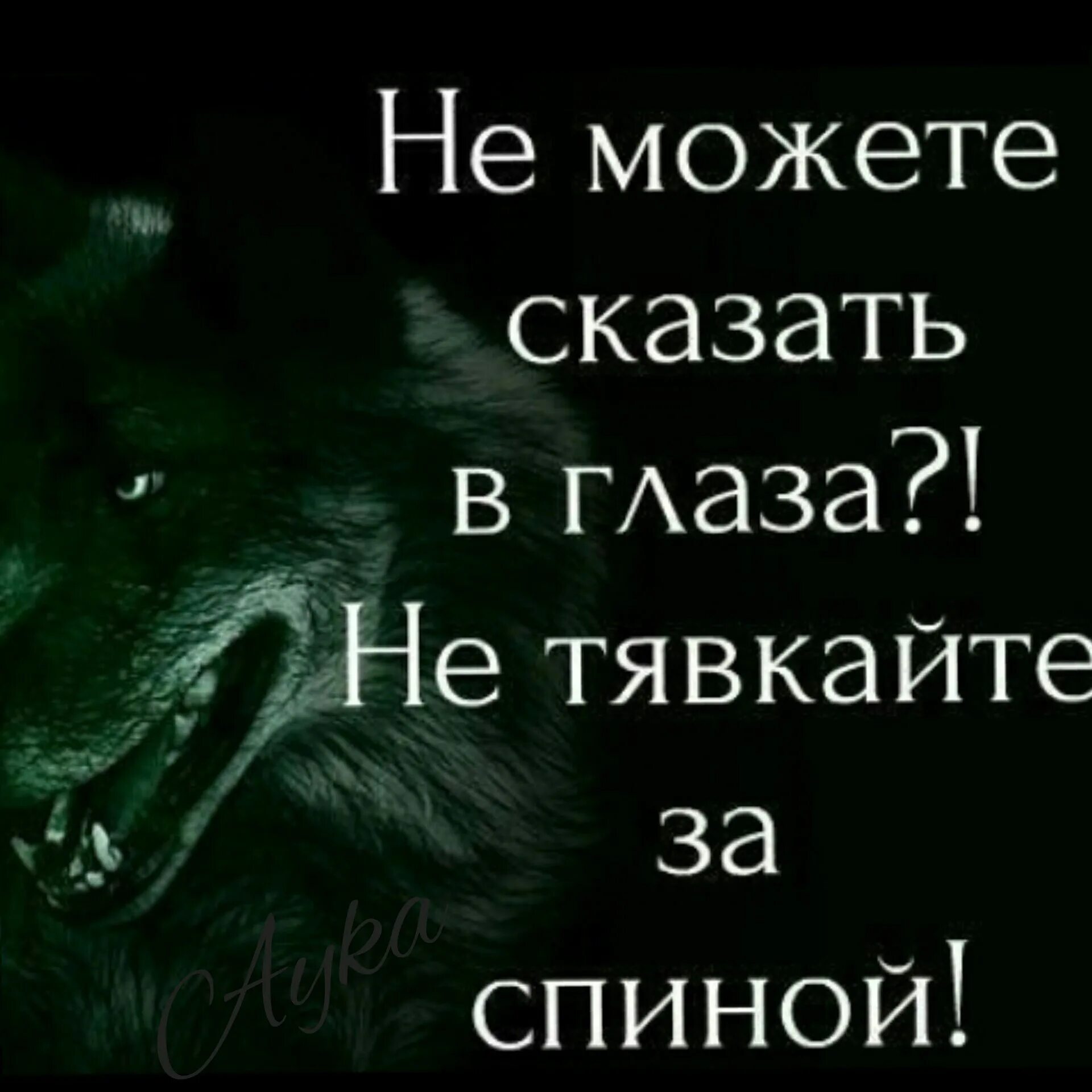 Человек не может сказать в лицо. Злые цитаты. Не можешь сказать в глаза. Цитаты про тварей друзей. Волк с надписью.