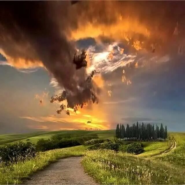Природа разумных. Картинки конец света природа. фото дождя природа.