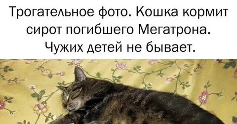 Не буду кормить чужих детей